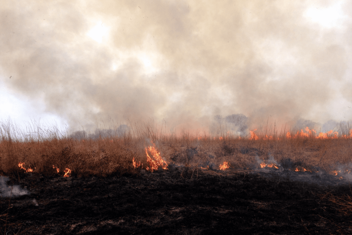 Prescribed Burning