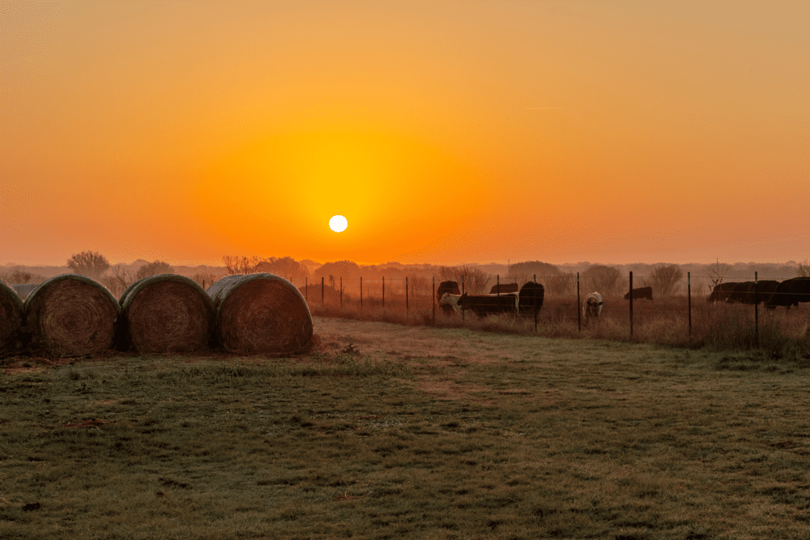 Owning Private Land in Texas