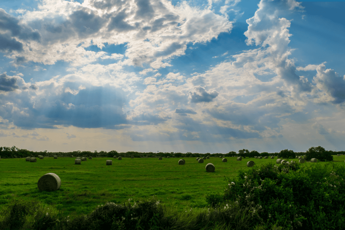 Texas land for sale